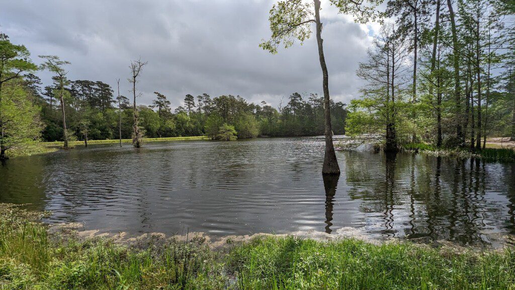 Claiborne West Park