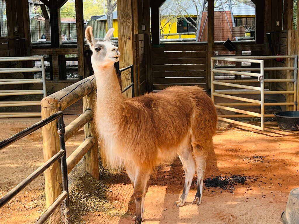 Houston Zoo