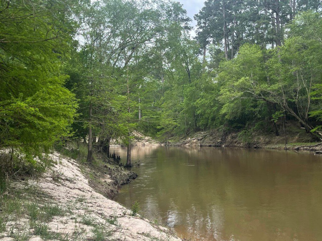 Roy E. Larsen Sandyland Sanctuary