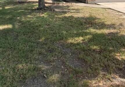 CvTkiqLrBbaJyv2tpb9GofM0TL5O37jiBS3UlHYu.jpg